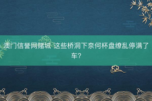 澳门信誉网赌城 这些桥洞下奈何杯盘缭乱停满了车？