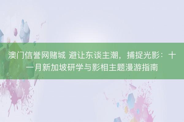 澳门信誉网赌城 避让东谈主潮，捕捉光影：十一月新加坡研学与影相主题漫游指南
