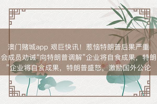 澳门赌城app 艰巨快讯！惹恼特朗普后果严重！外媒揭秘：网飞董事会成员劝诫“向特朗普调解”企业将自食成果，特朗普盛怒，激励国外公论
