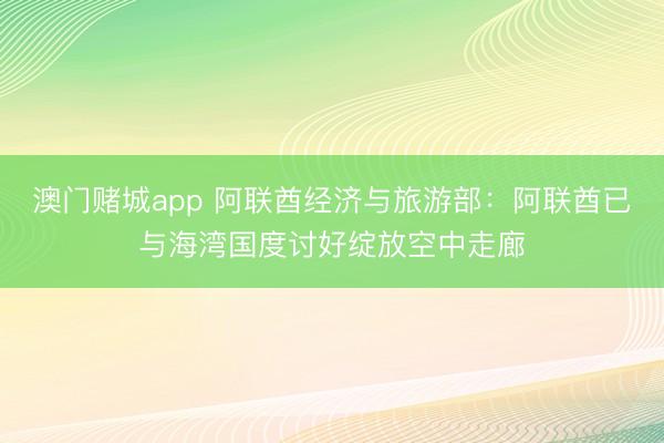 澳门赌城app 阿联酋经济与旅游部：阿联酋已与海湾国度讨好绽放空中走廊